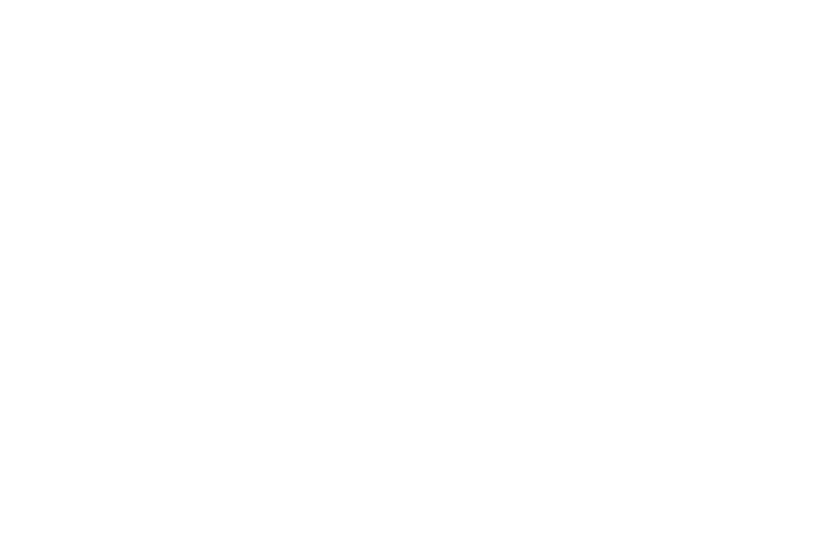 Ralph Lauren logo